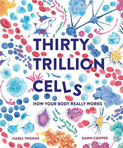 Thirty Trillion Cells: How Your Body Really Works (9781803380131)