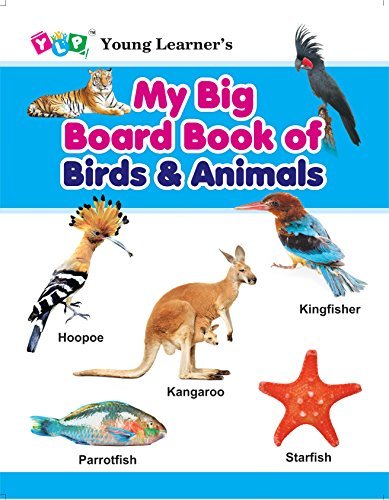 My Big Board Book of Birds Animals (9789383665952)