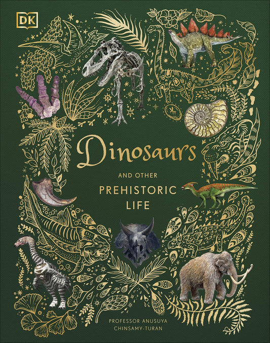Dinosaurs and Other Prehistoric Life (9780241491621)